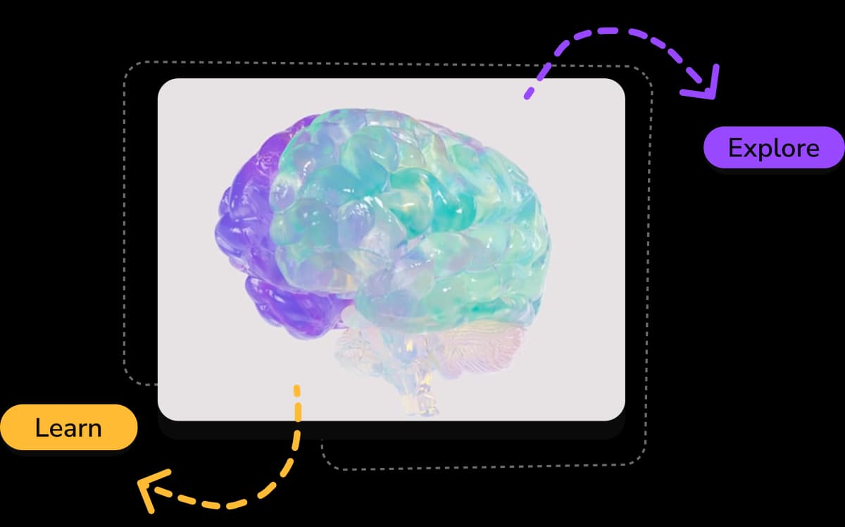 Brain